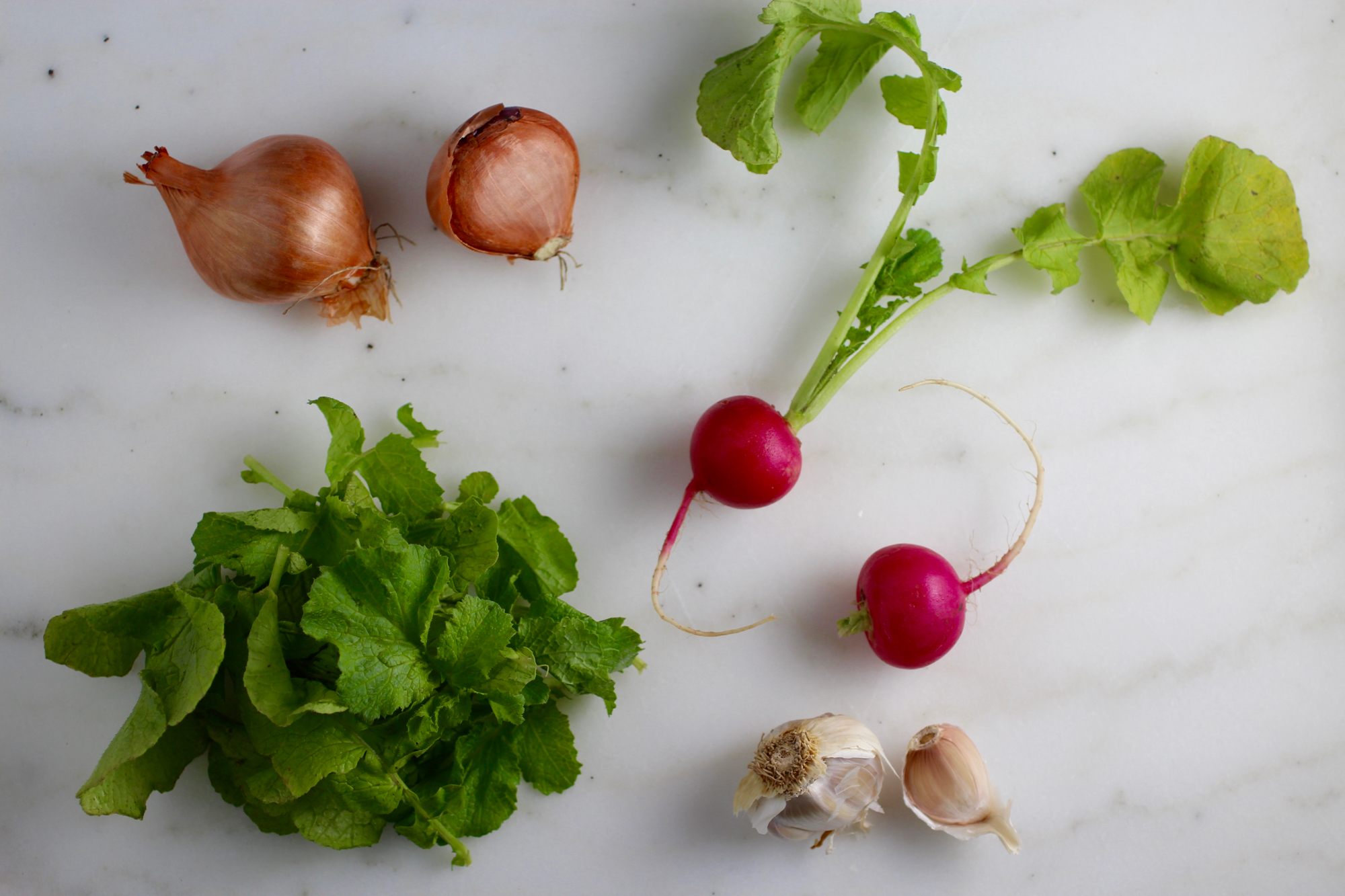 Don't toss those beautiful radish greens!