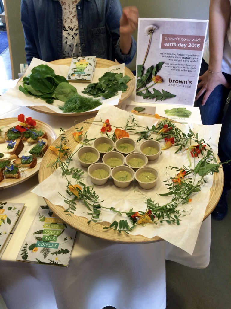 Samples from brown's cafe for WFFW 2016 on the UC Berkeley campus - the perfect place to educate about wild and feral foods.
