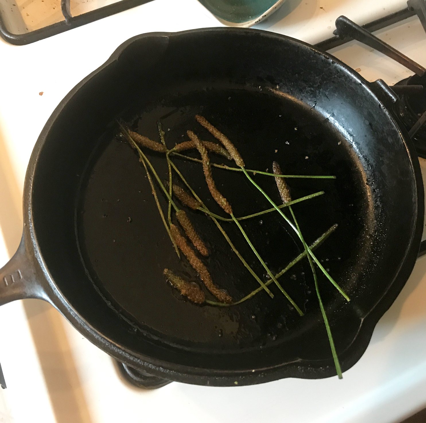 Sautéing seedpods in cast-iron. At this point, they have soaked up all of the butter/oil and if I need to cook them longer I would have to add more. 