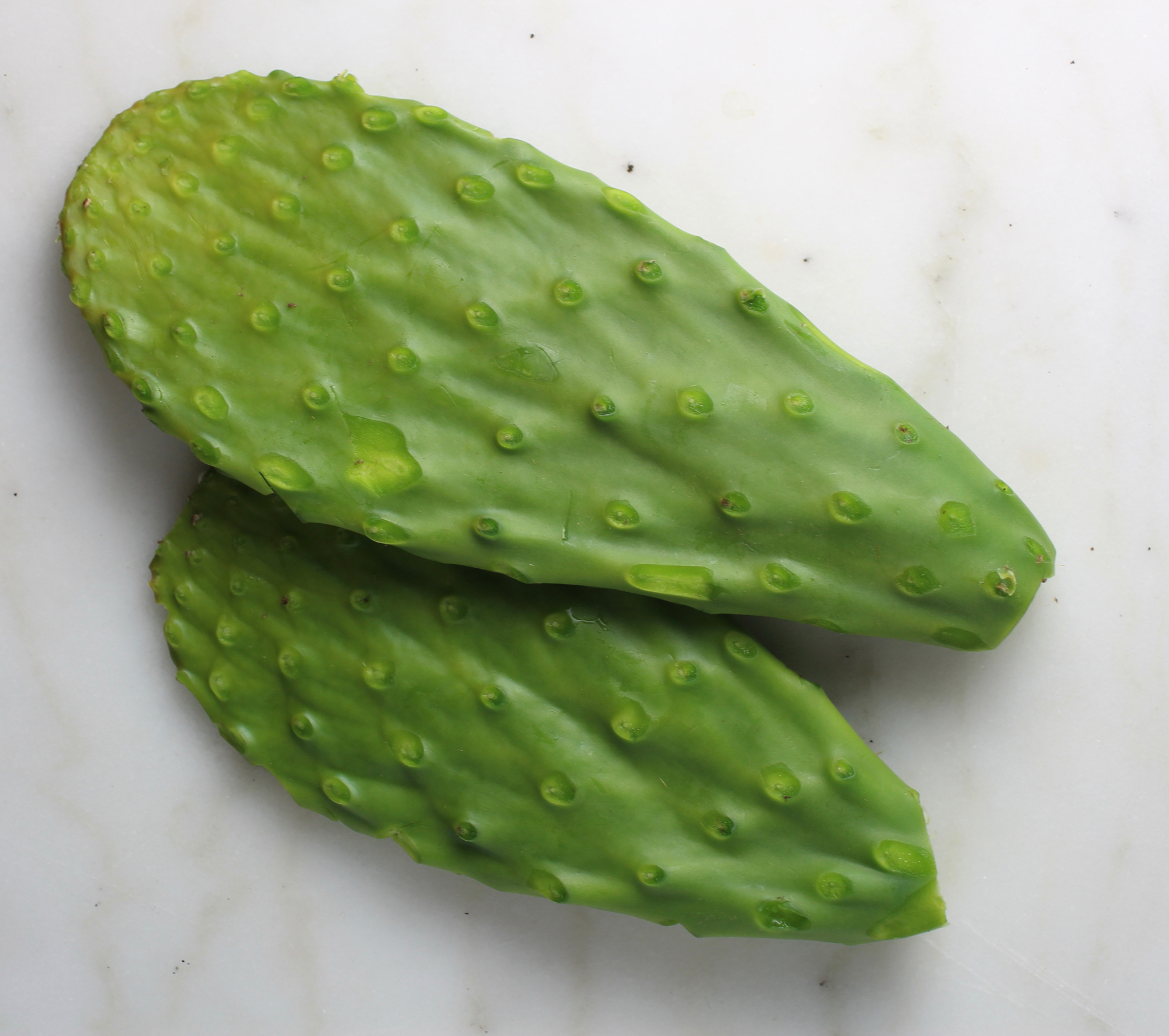 Cactus pad with spines removed.