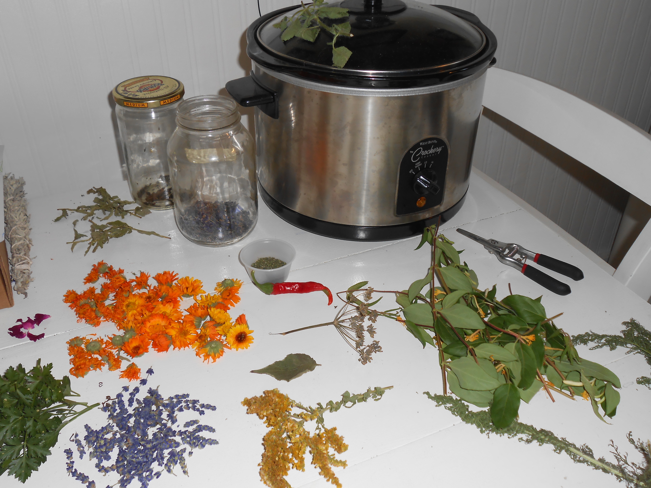 Medicine-Making Class – $35