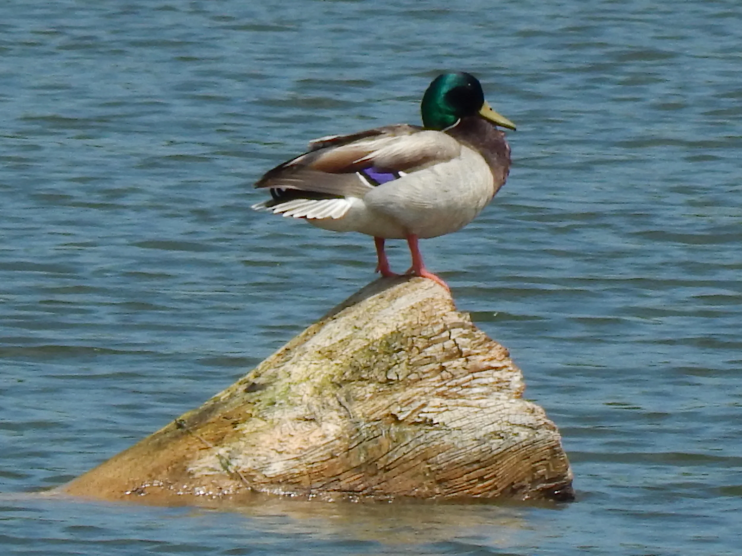 Maskenthine Lake Recreational Area