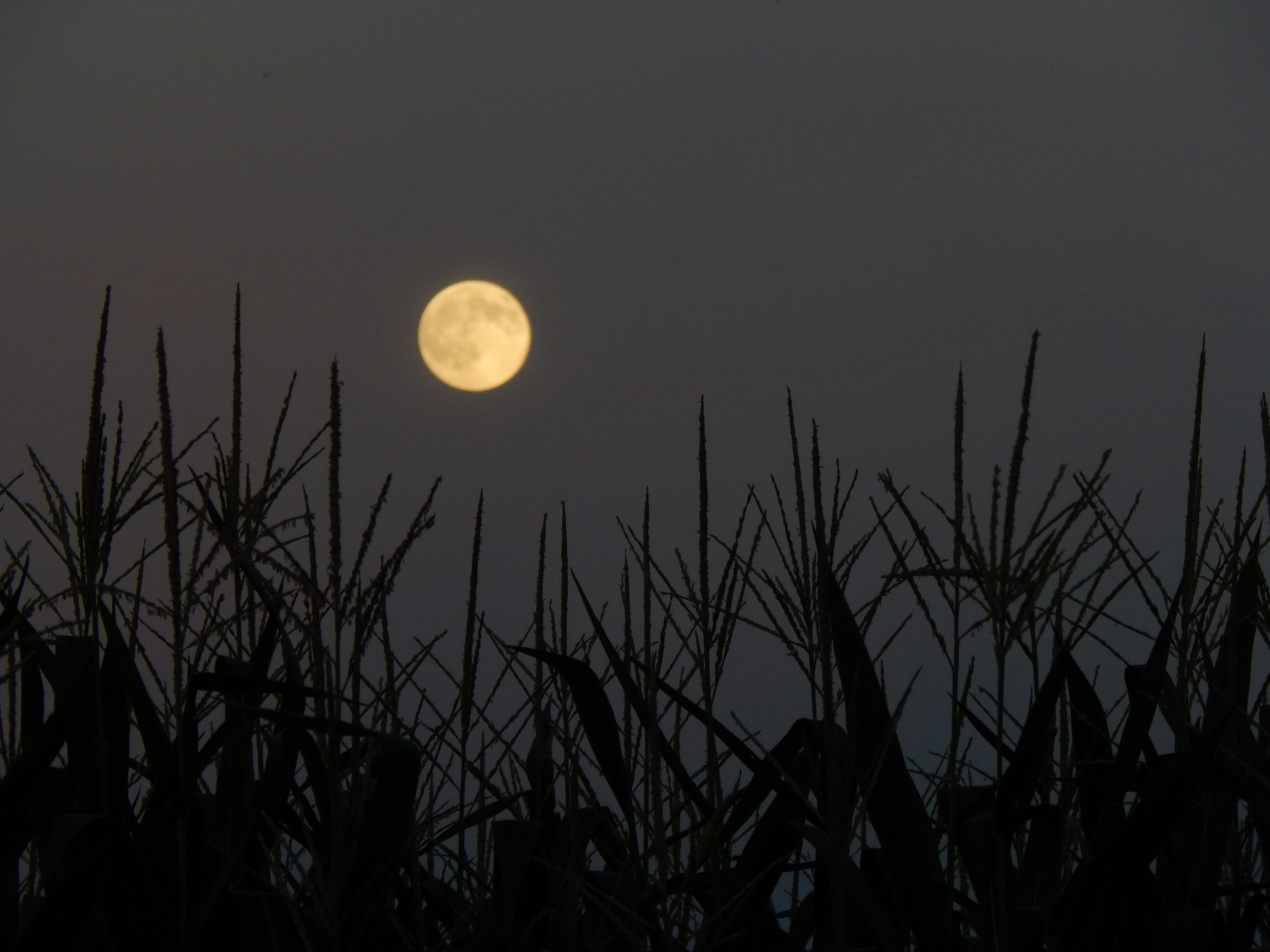 Harvest Equinox Retreat
