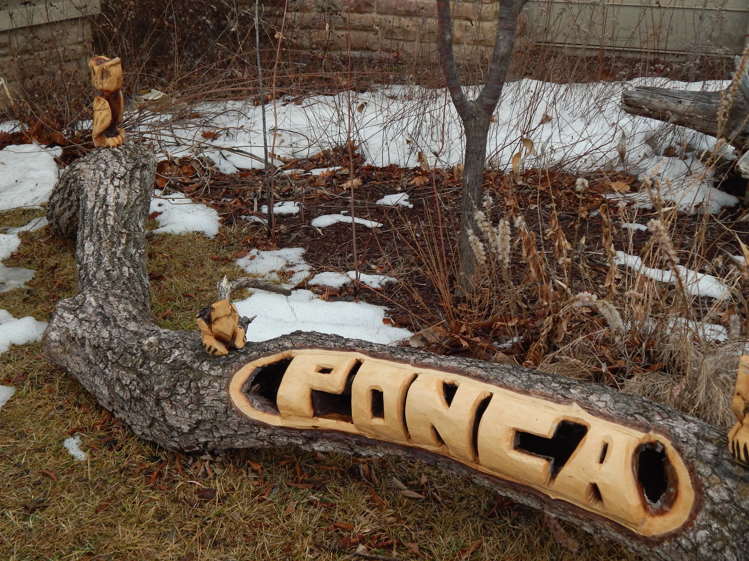 Women's Wellness Weekend at Ponca State Park