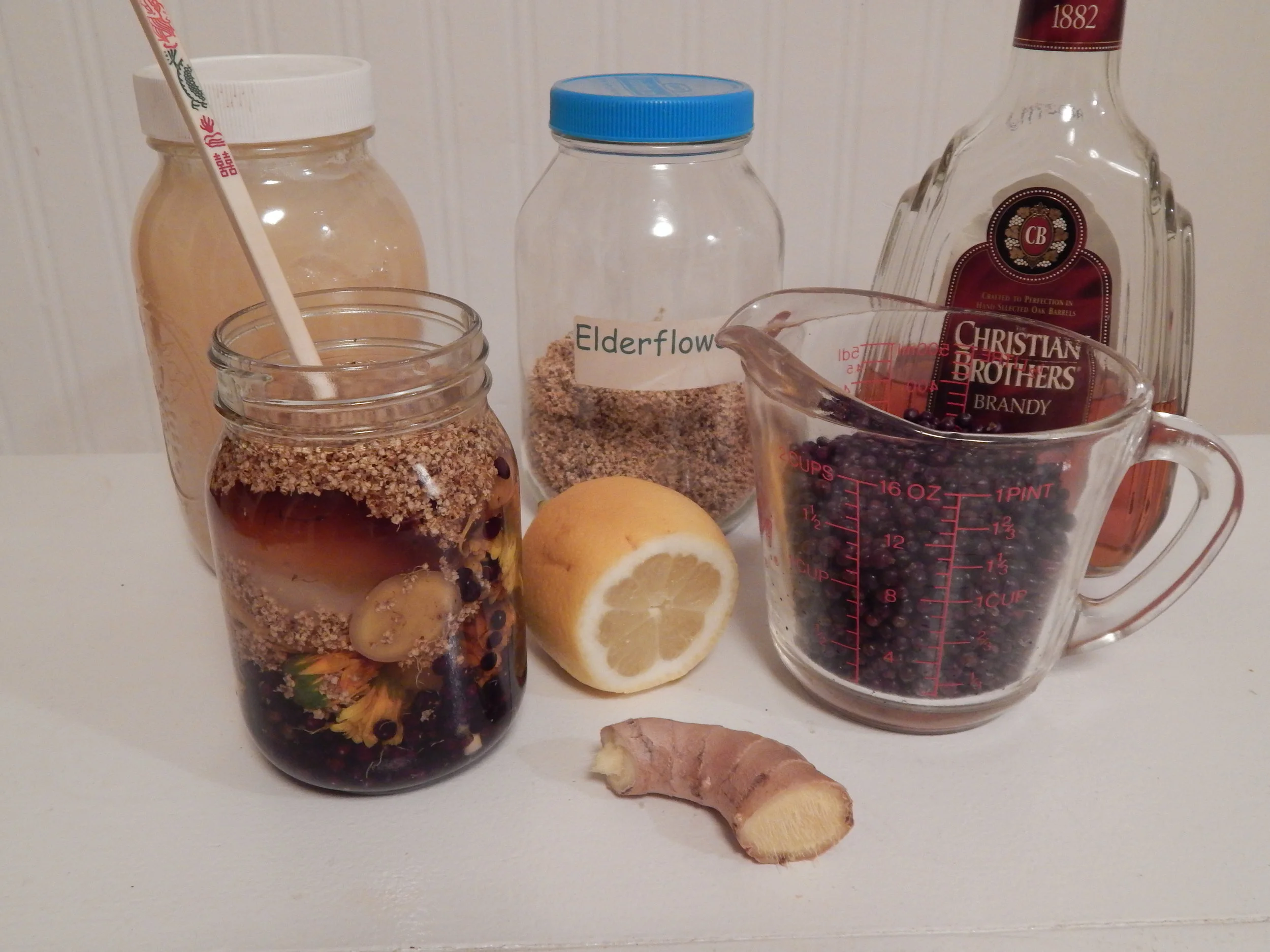 Beginning Herbalist Workshop - Stanton
