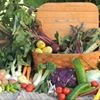 Herbs 101 at Pfanny's Farm - Randolph, NE