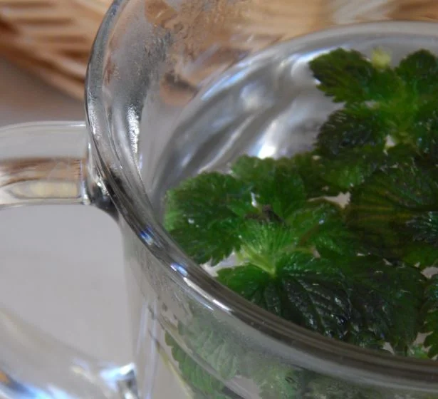 Herbal Teas &amp; Tinctures Class - Norfolk Natural Market