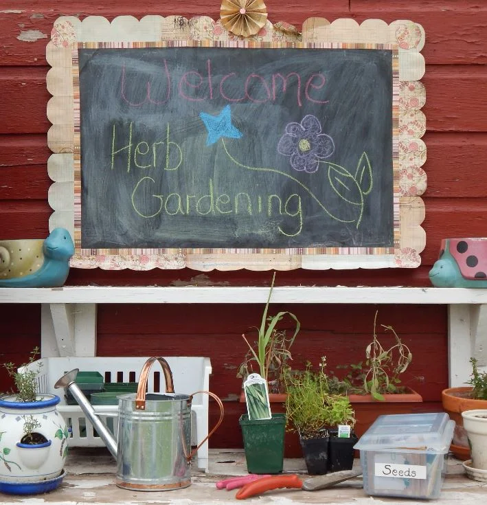 Growing &amp; Harvesting Herbs - Norfolk Natural Market