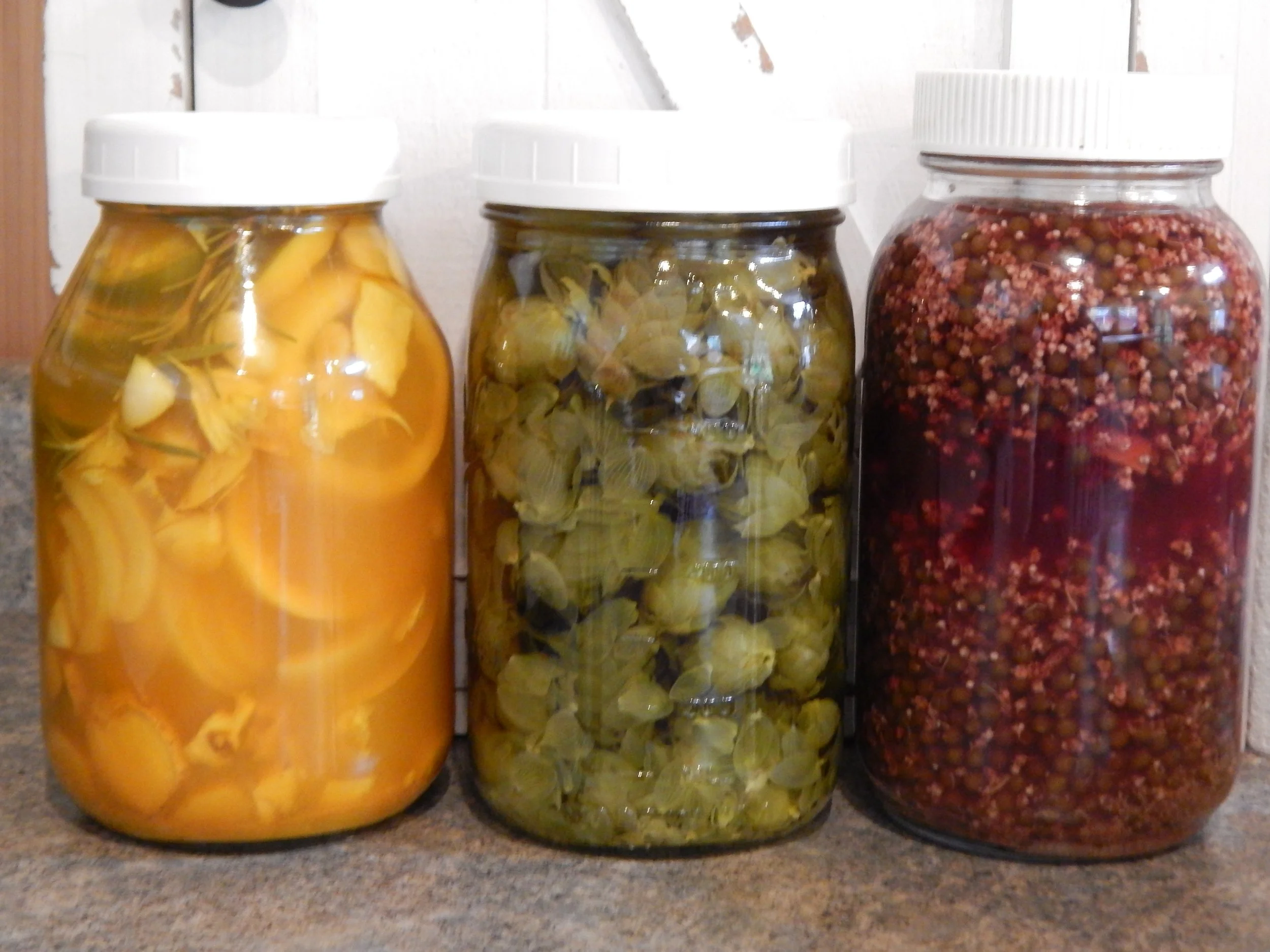 fire cider, hops tincture and elderberry elixir.JPG