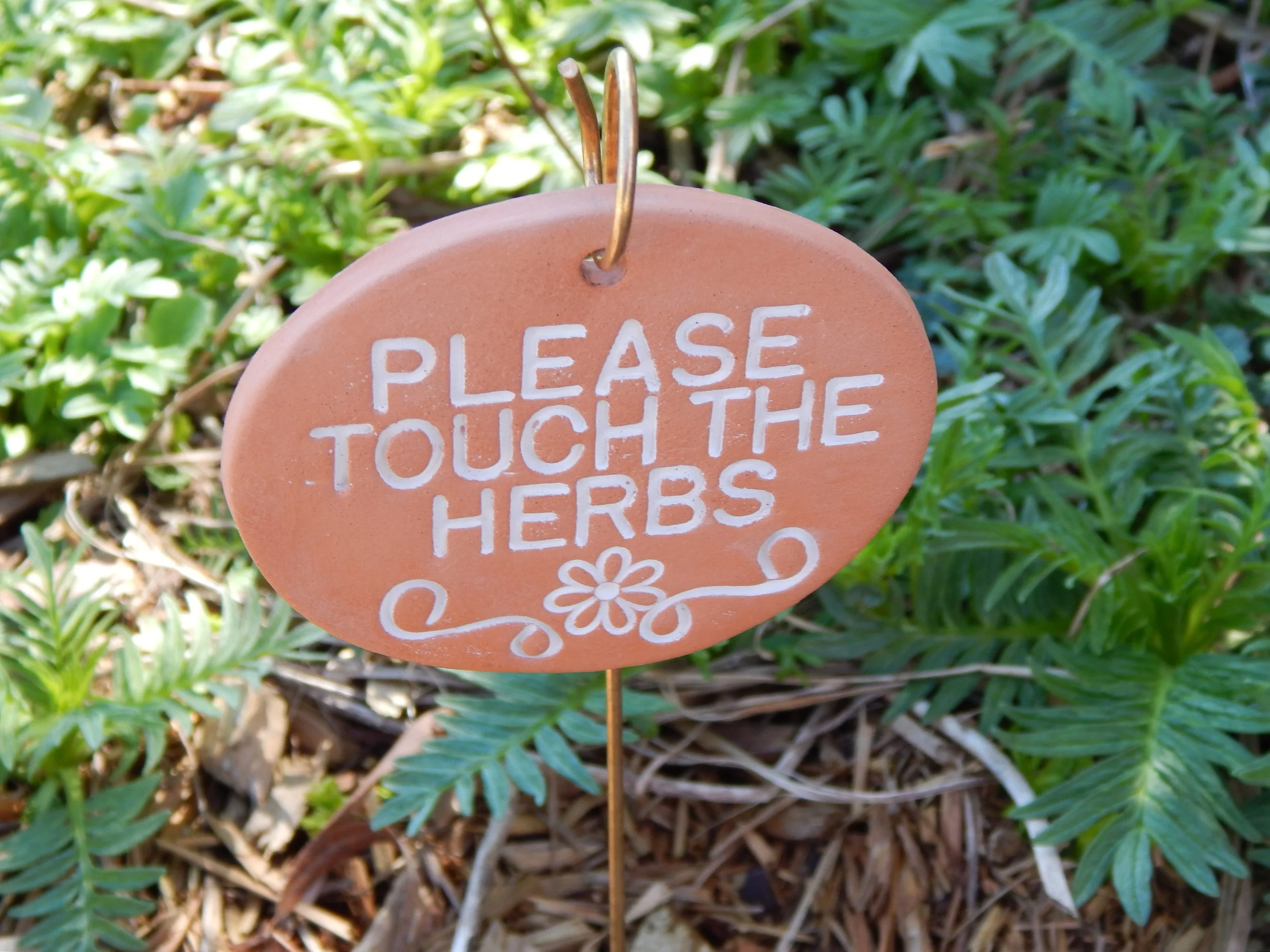 Please touch the Herbs.JPG