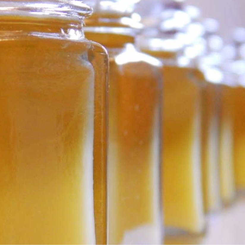 Herbal Oils & Salves Class