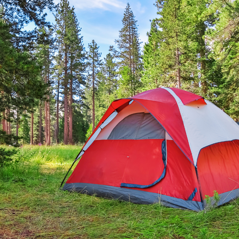 Camping at Red Road Herbs