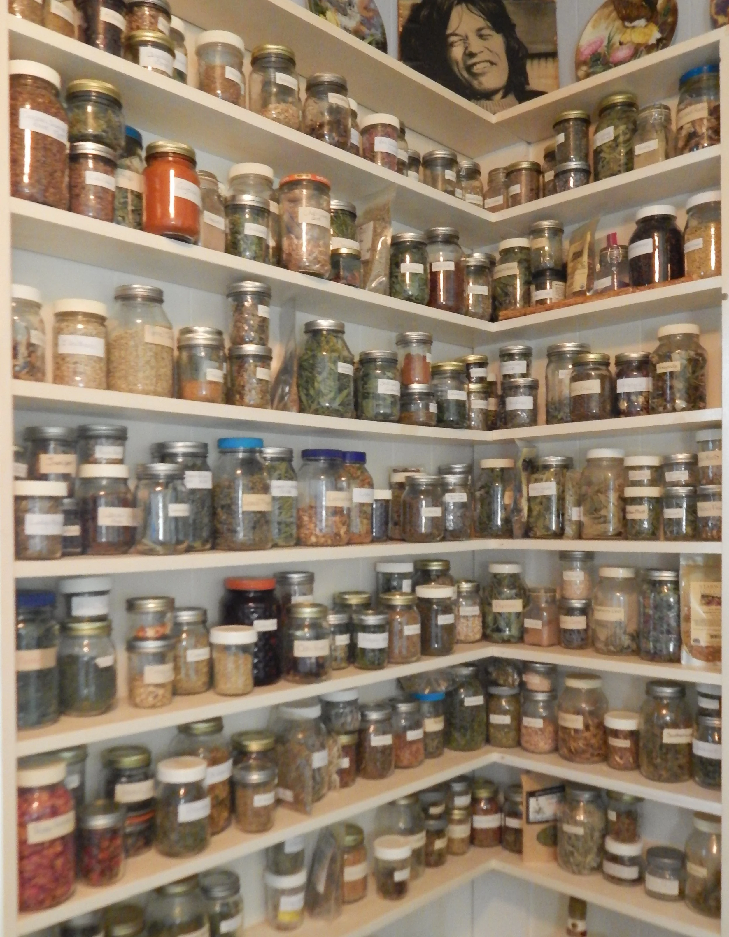 Herbs shelves 9-21 (2).JPG