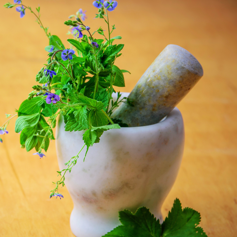 Herbal First Aid Class