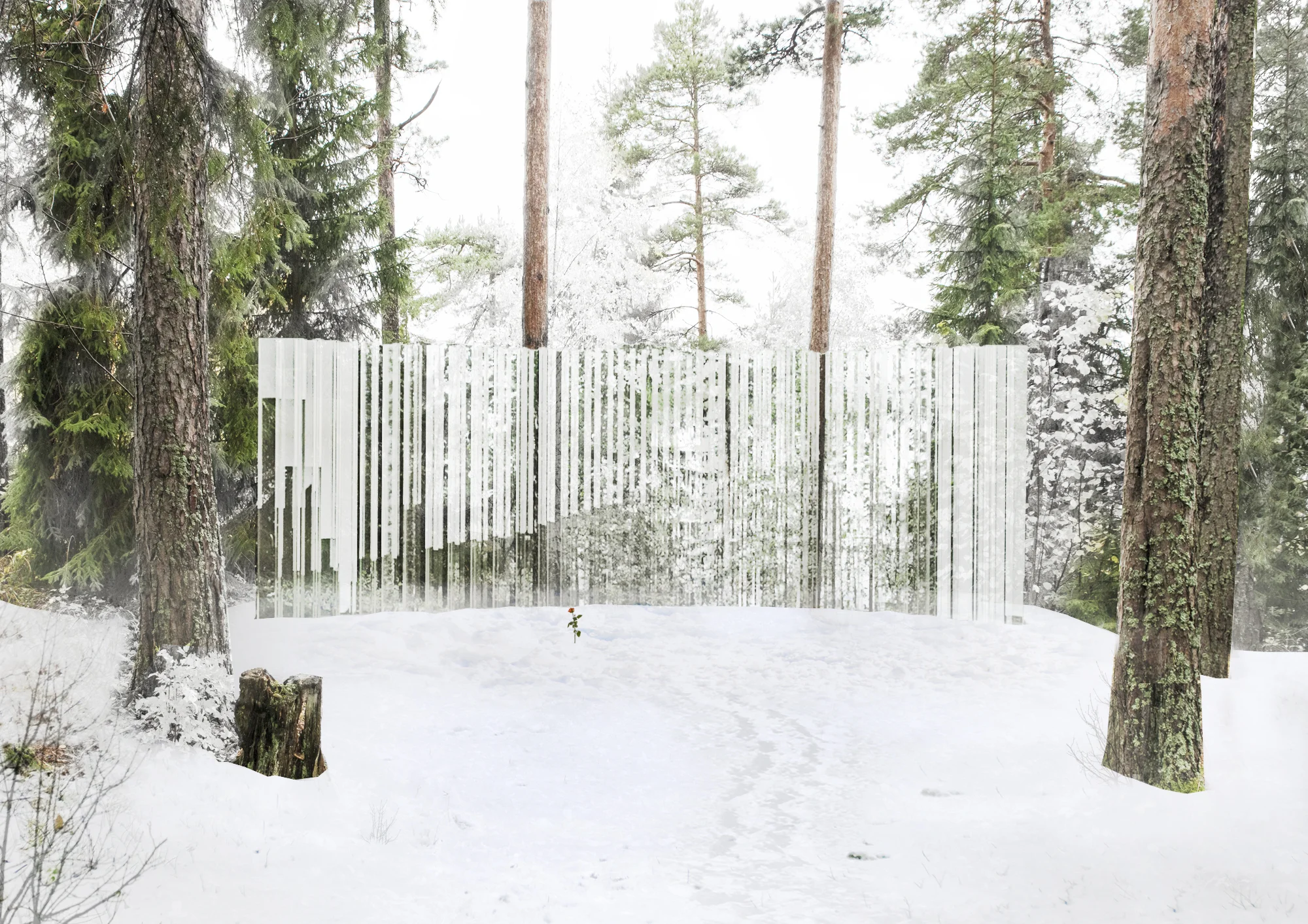 Vinter.jpg
