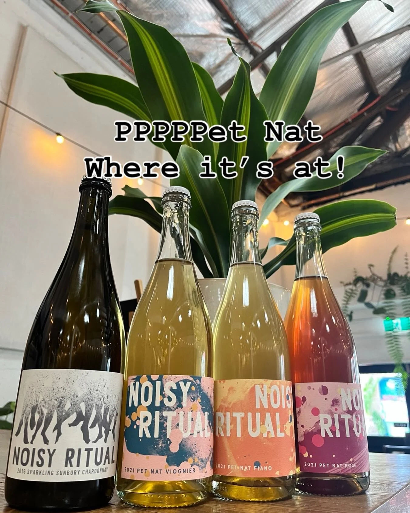 Pet Nat&hellip;.Leader of the pack&hellip;.. 
Limited museum wine collection. Available to drink tonight @noisyritual