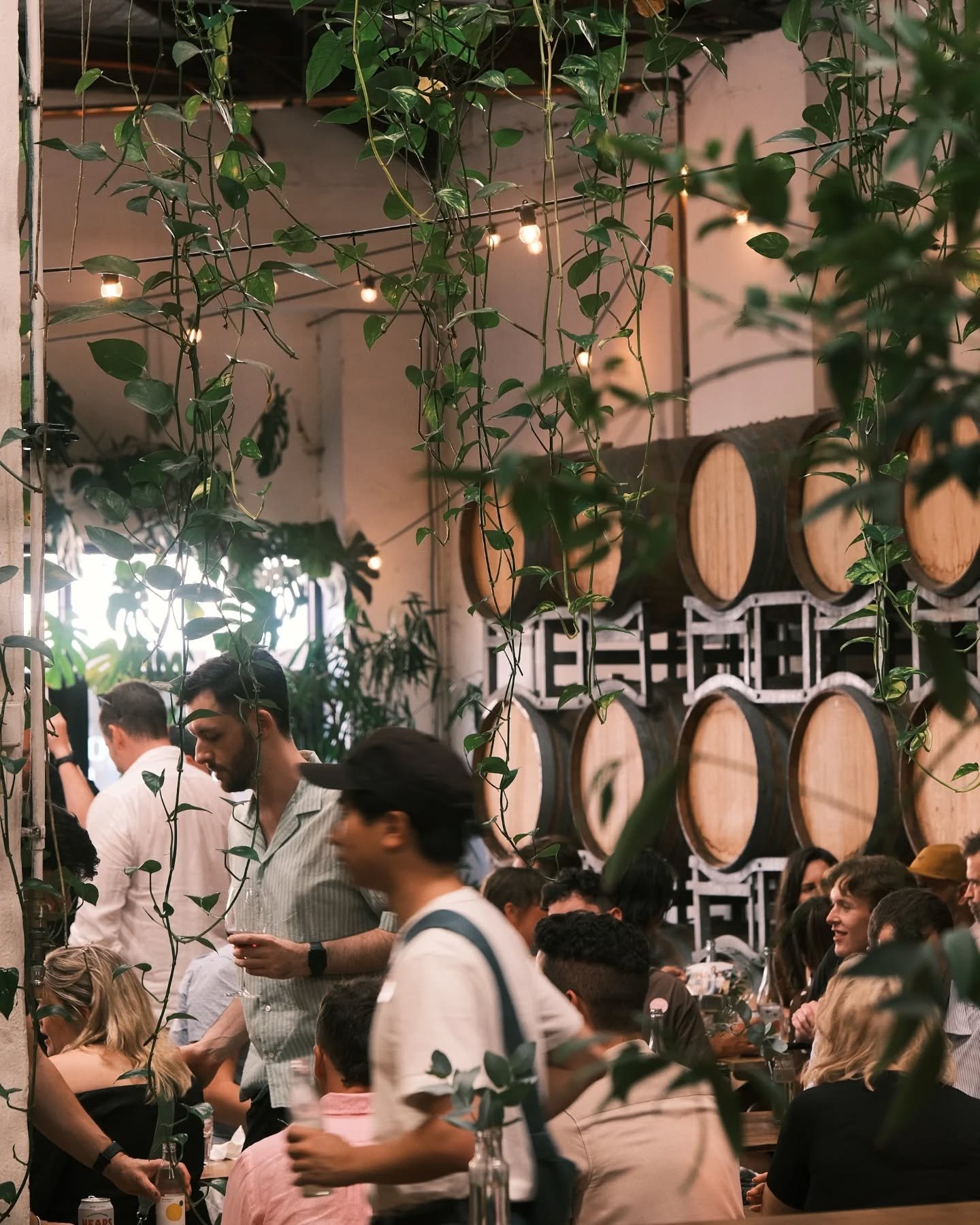 🌞Bloody good day for it! 
🍷Pouring wines old and new 'til late. Thursday-Saturday. Get down and have a taste XO NR