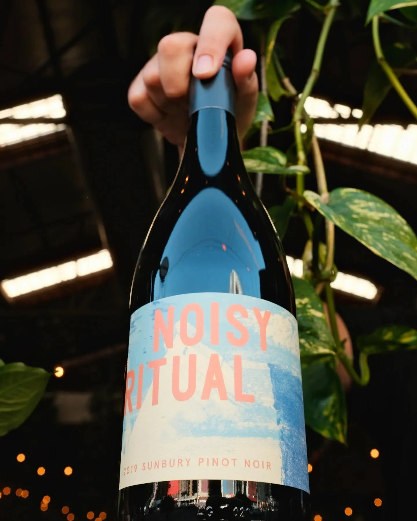 🍷2019 Sunbury pinot noir from the vaults

✨ This bottle is crammed with heaps of crisp cherry flavours, mature supple tannins, and a nice rounded earthy spice situation that'll transport you into the weekend nicely.

Available by the glass until it'