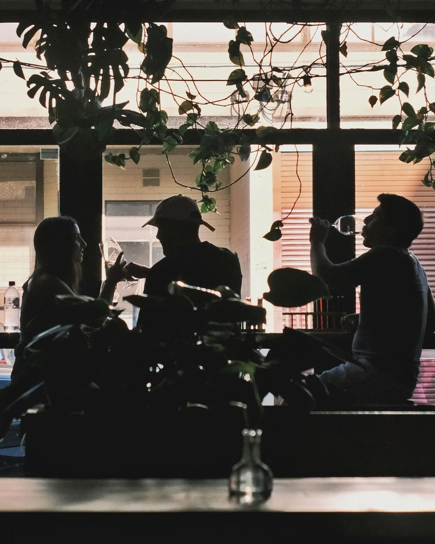 🍷2019 Geelong Pinot Noir

Floral and full of summer, this cool climate pinot is the latest drop from the vaults.

Think wild flowers over a bed of forest-floor earthen goodness. More red berry juice than you can shake a stick at, and some smooooth m