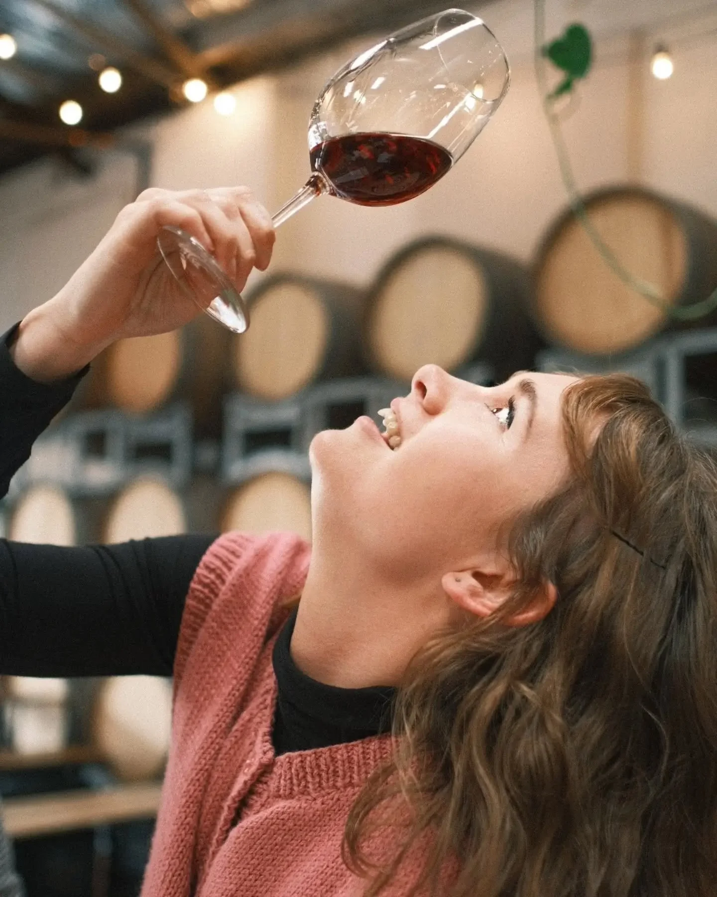 Wine tasting all day every day ✨

Pouring til late xo NR