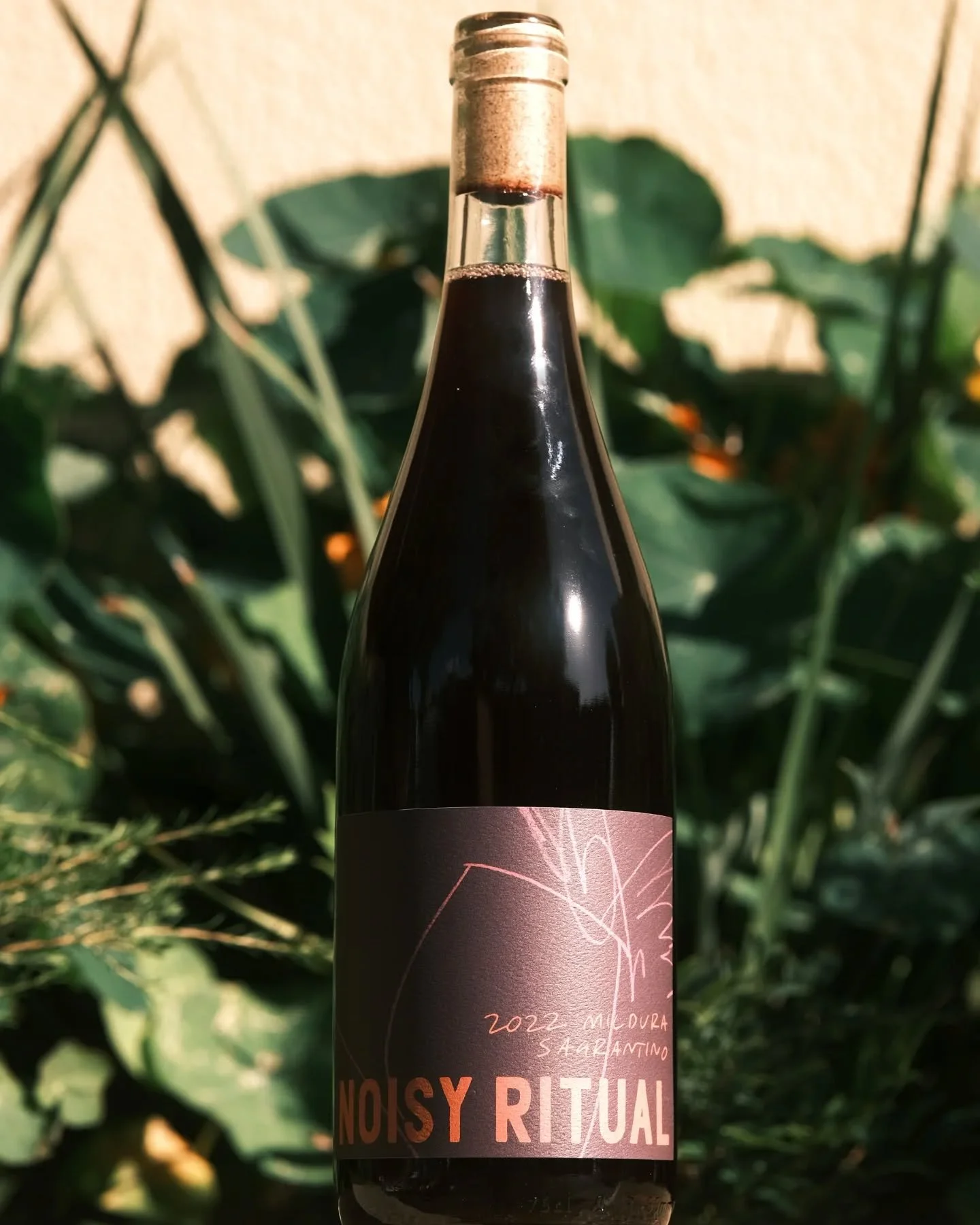 🌞 2022 Mildura Sagrantino - pretty much the perfect red for this autumn sunshine.

🍷 Umbria via Mildura, this central Italian variety is a bit of a rarity around this neck of the woods.

Aromas of tropical flowers, dark berries, and aniseed spice g