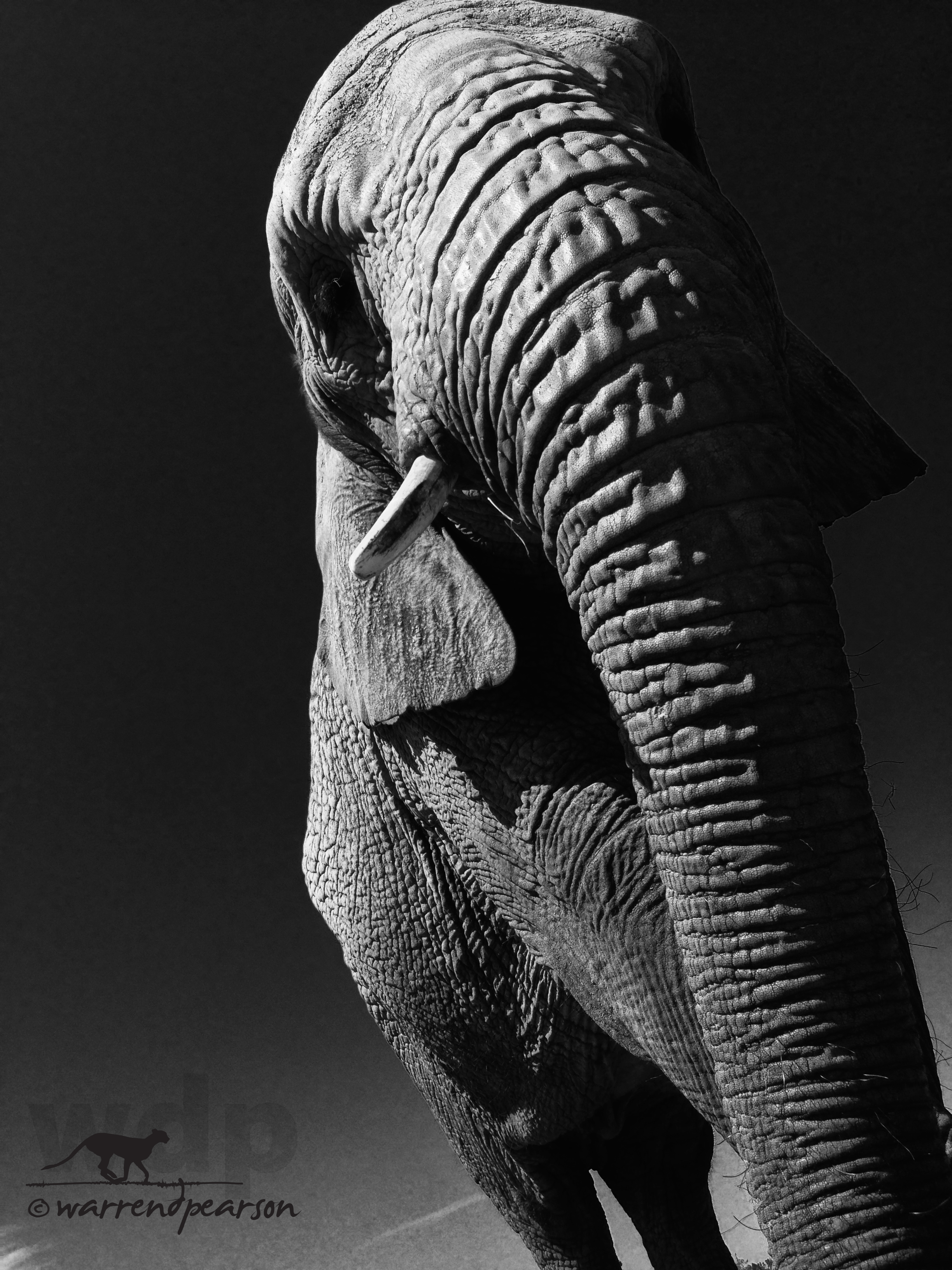 Up at a giant
