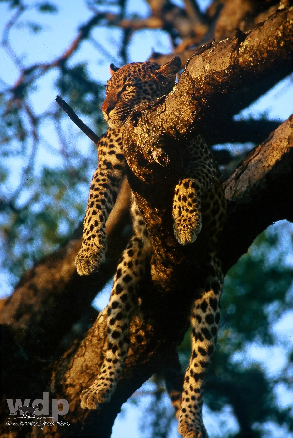 Comfort