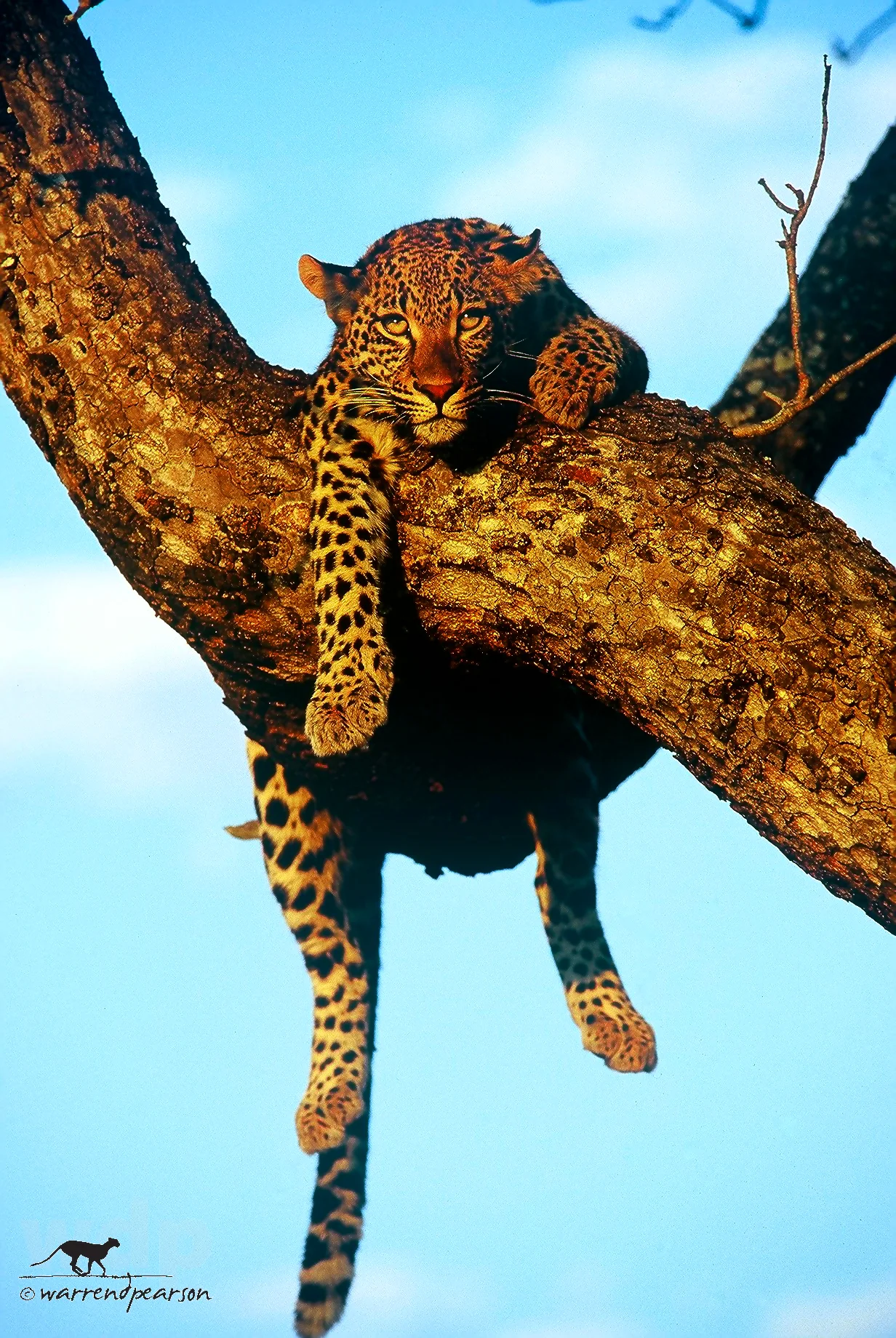 Hanging out.
