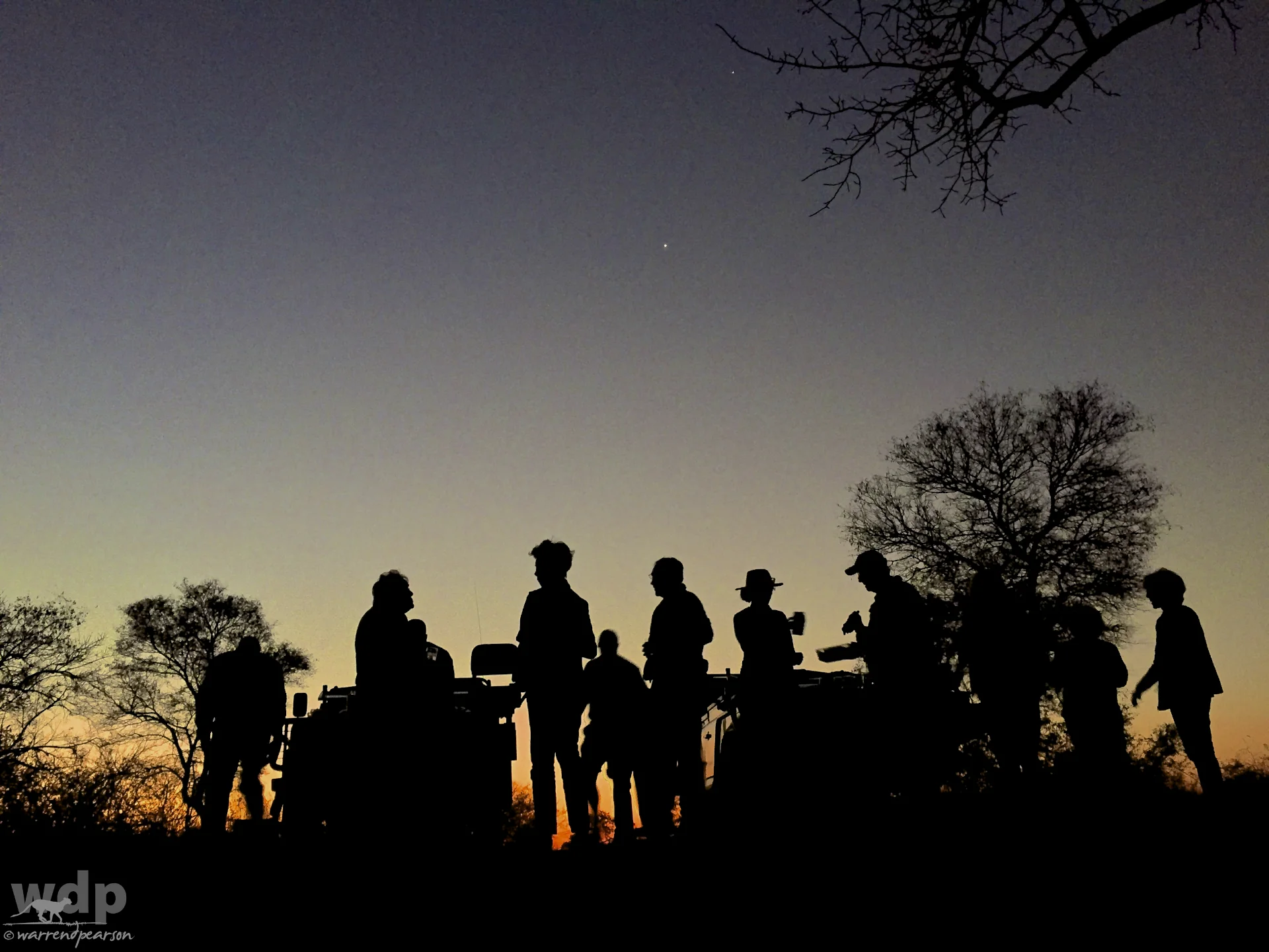 Safari Sunset