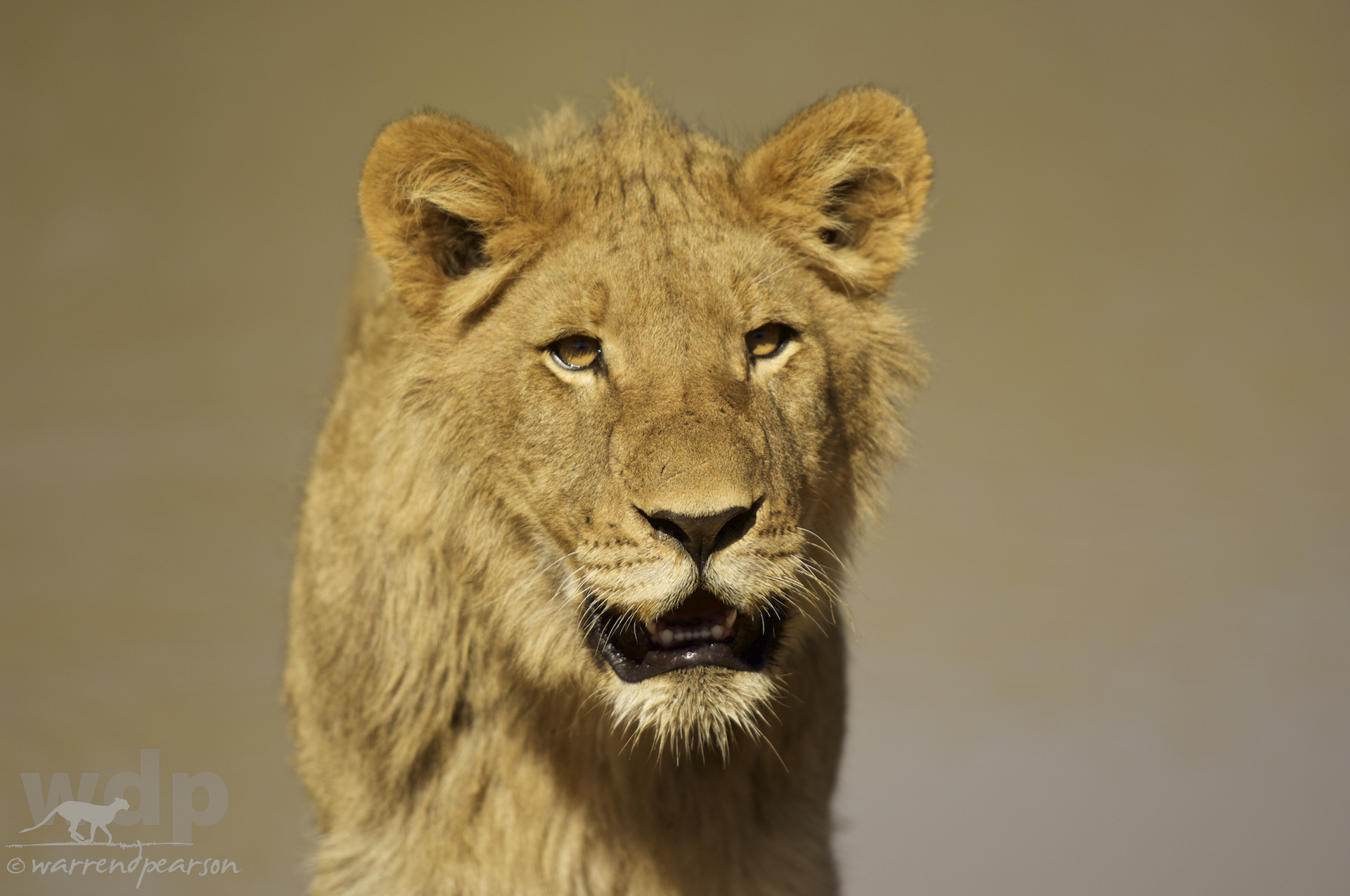 Waiting to be King