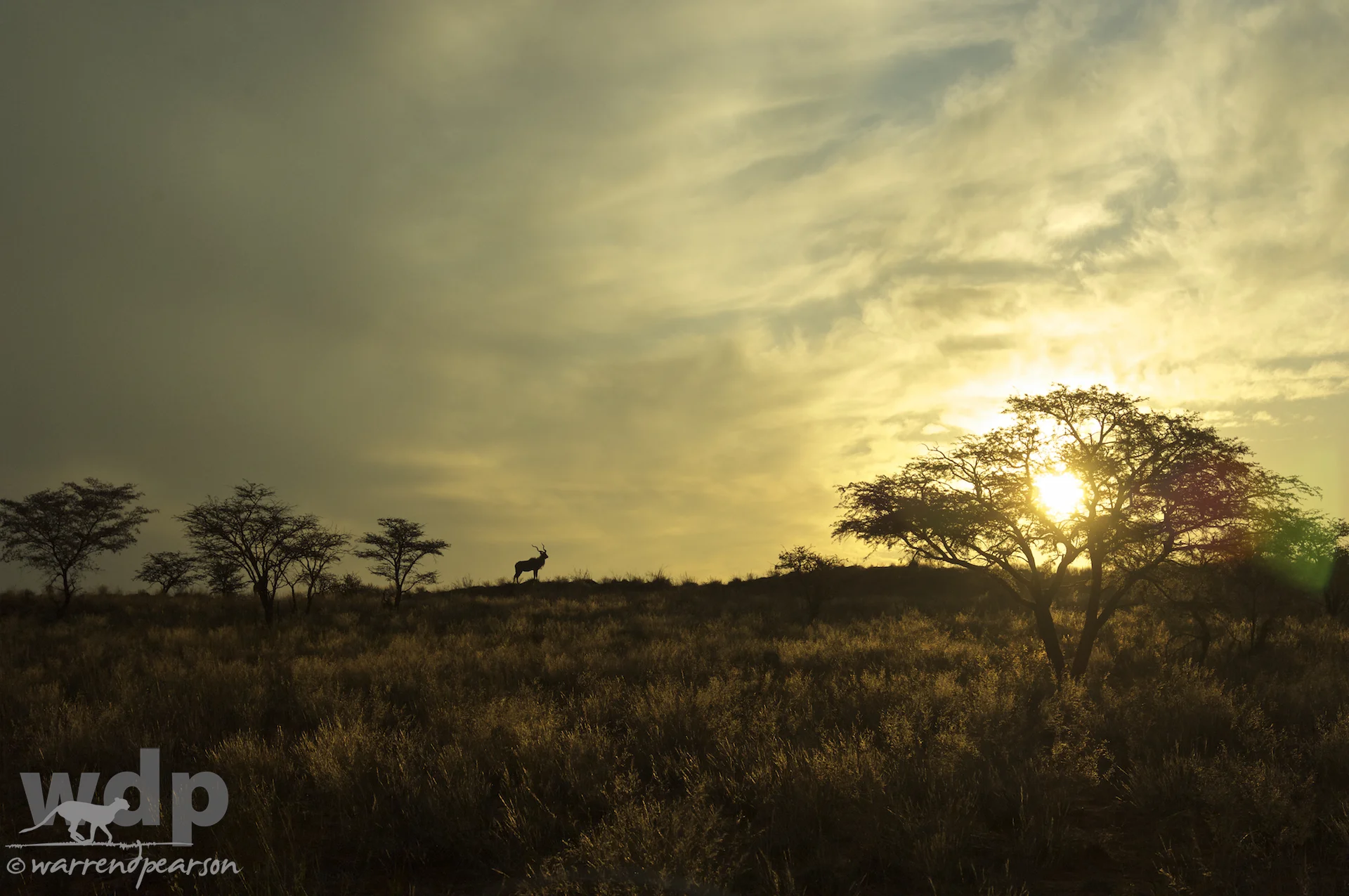 A Kalahari Sunset