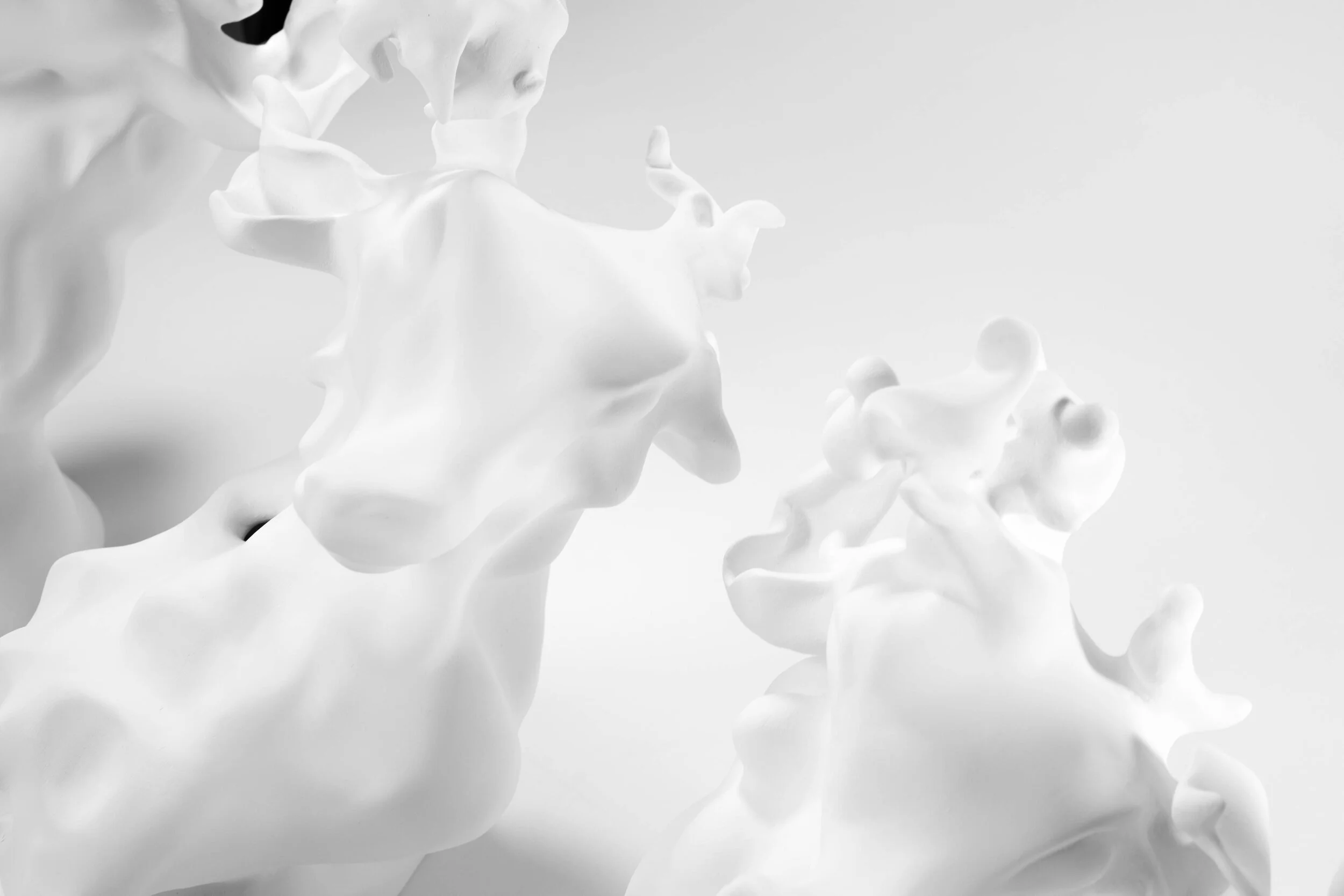  Sculptures en porcelaine 