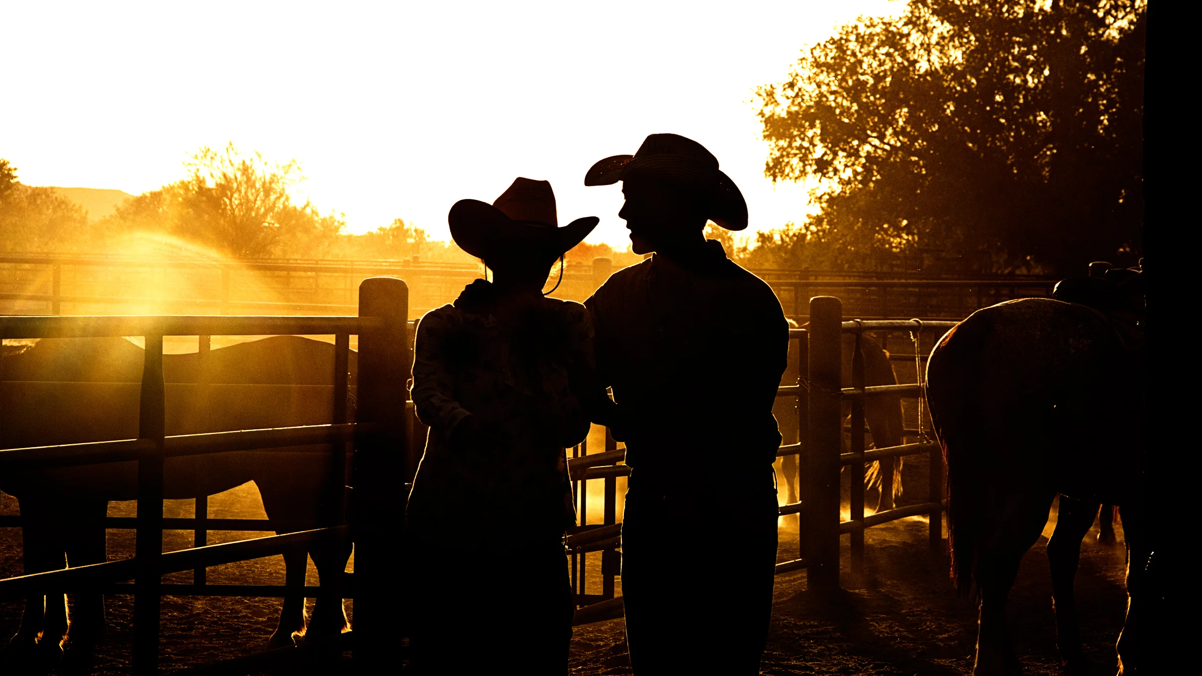 White Stallion Ranch | Tucson, AZ