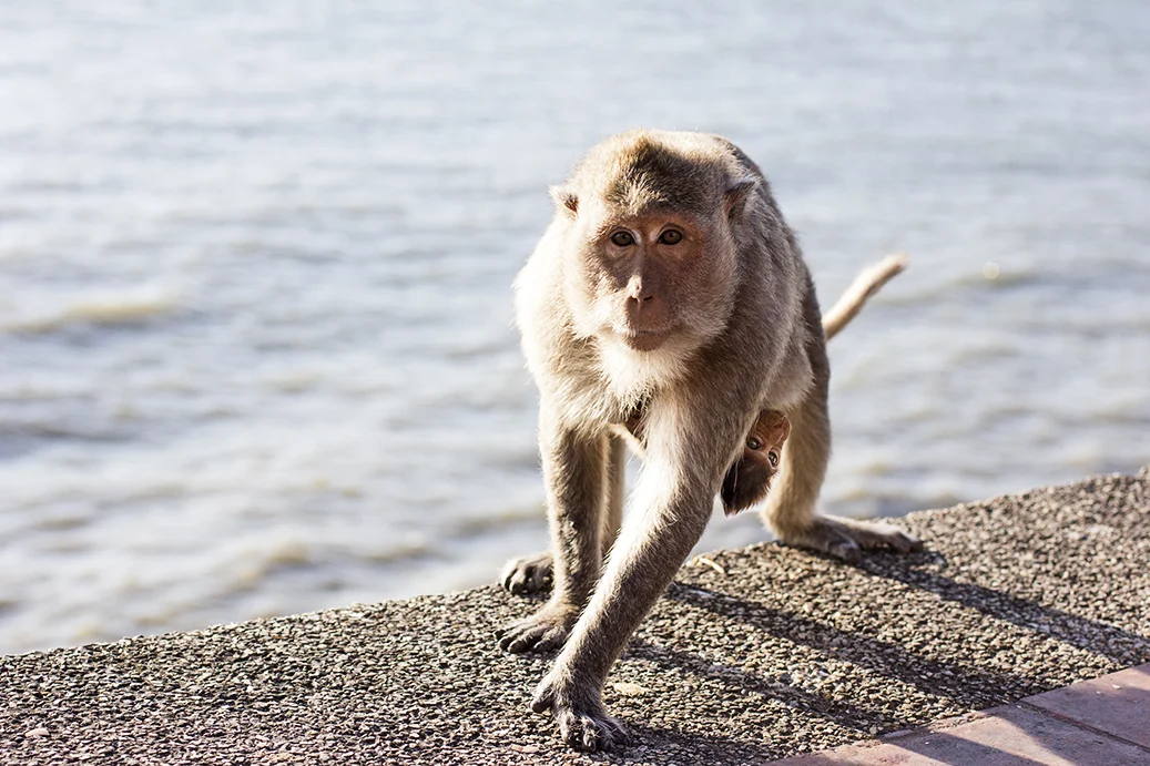 Koh Samet, Thailand
