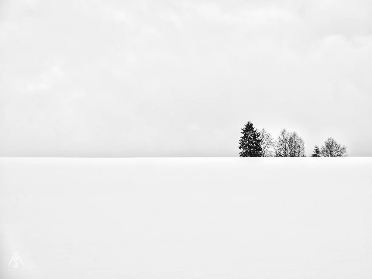 Hohes Venn  Belgium</p>