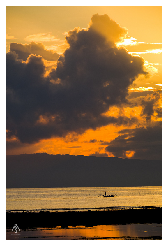 Golden fisher