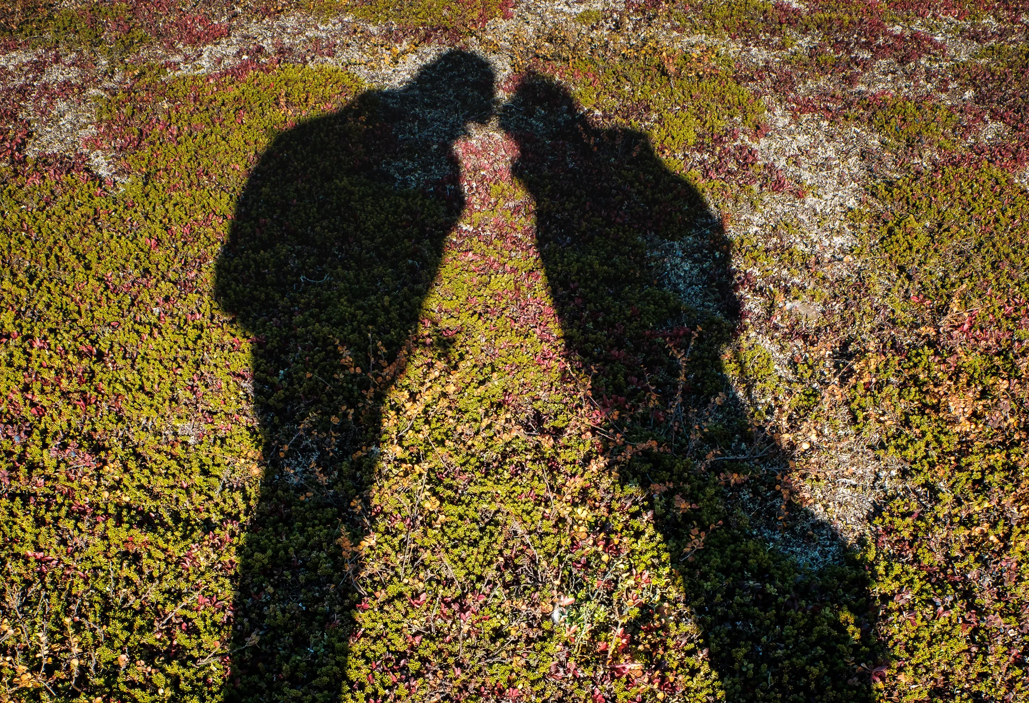 Scandinavia  I'm in love  Teil 1</h6>