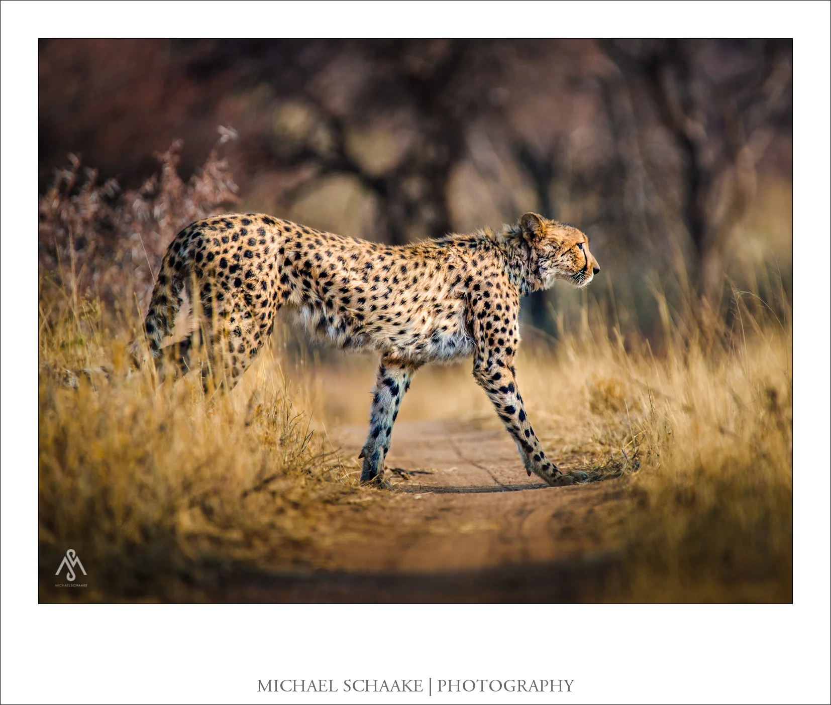 _D758243-2.jpg