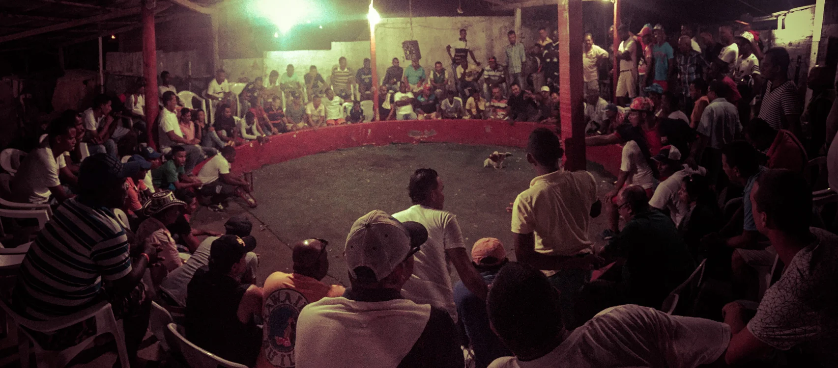 Photo 24-04-2016, 7 44 50 PM.jpg