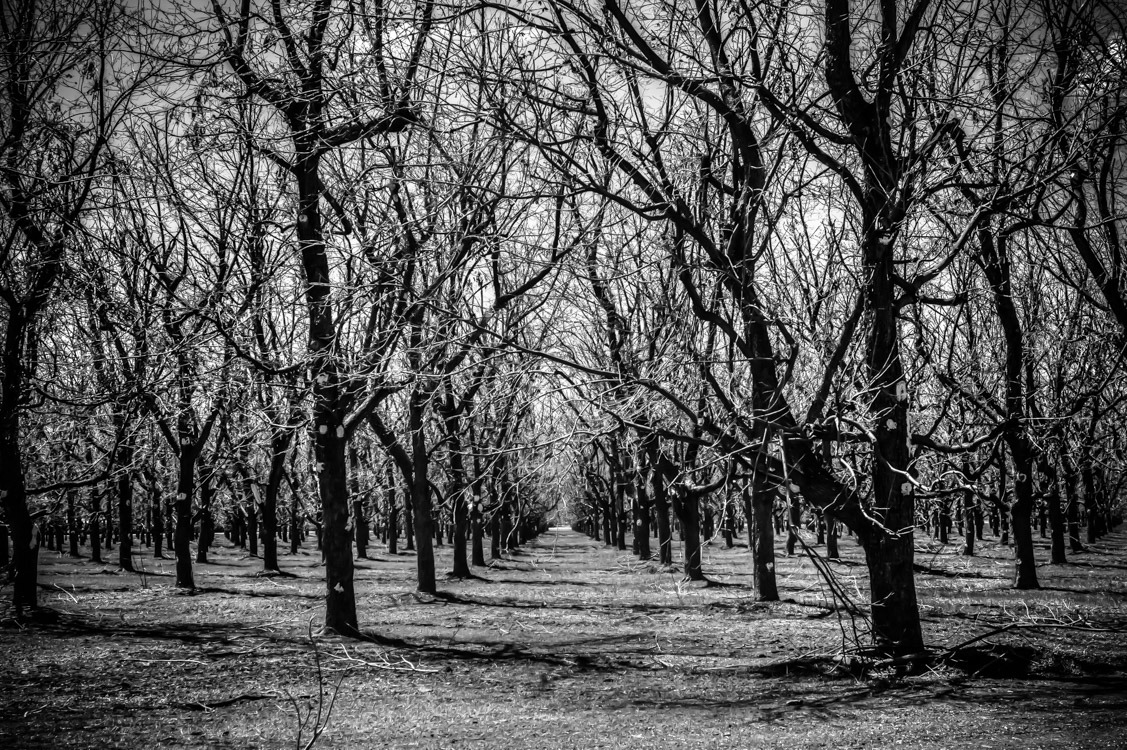 _MG_9372_3_4_5_6_7_tonemapped.jpg