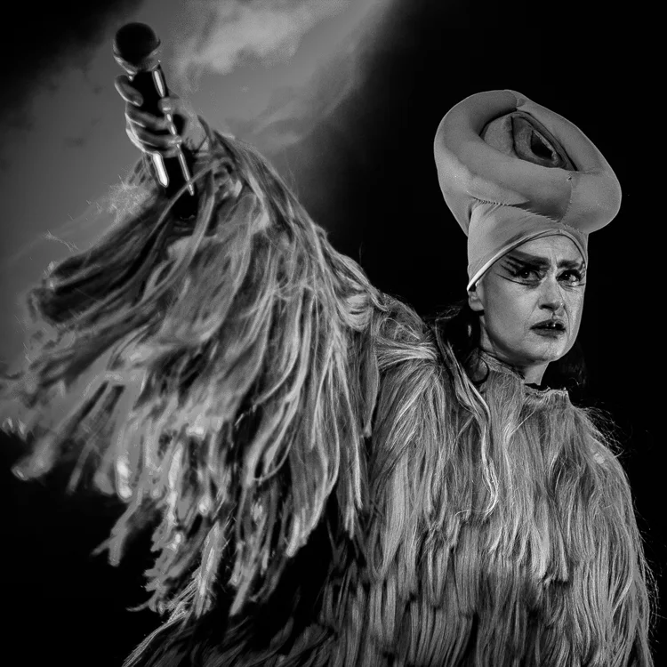 5687-20161209-Peaches-'Rub' Australian Tour 2016.JPG