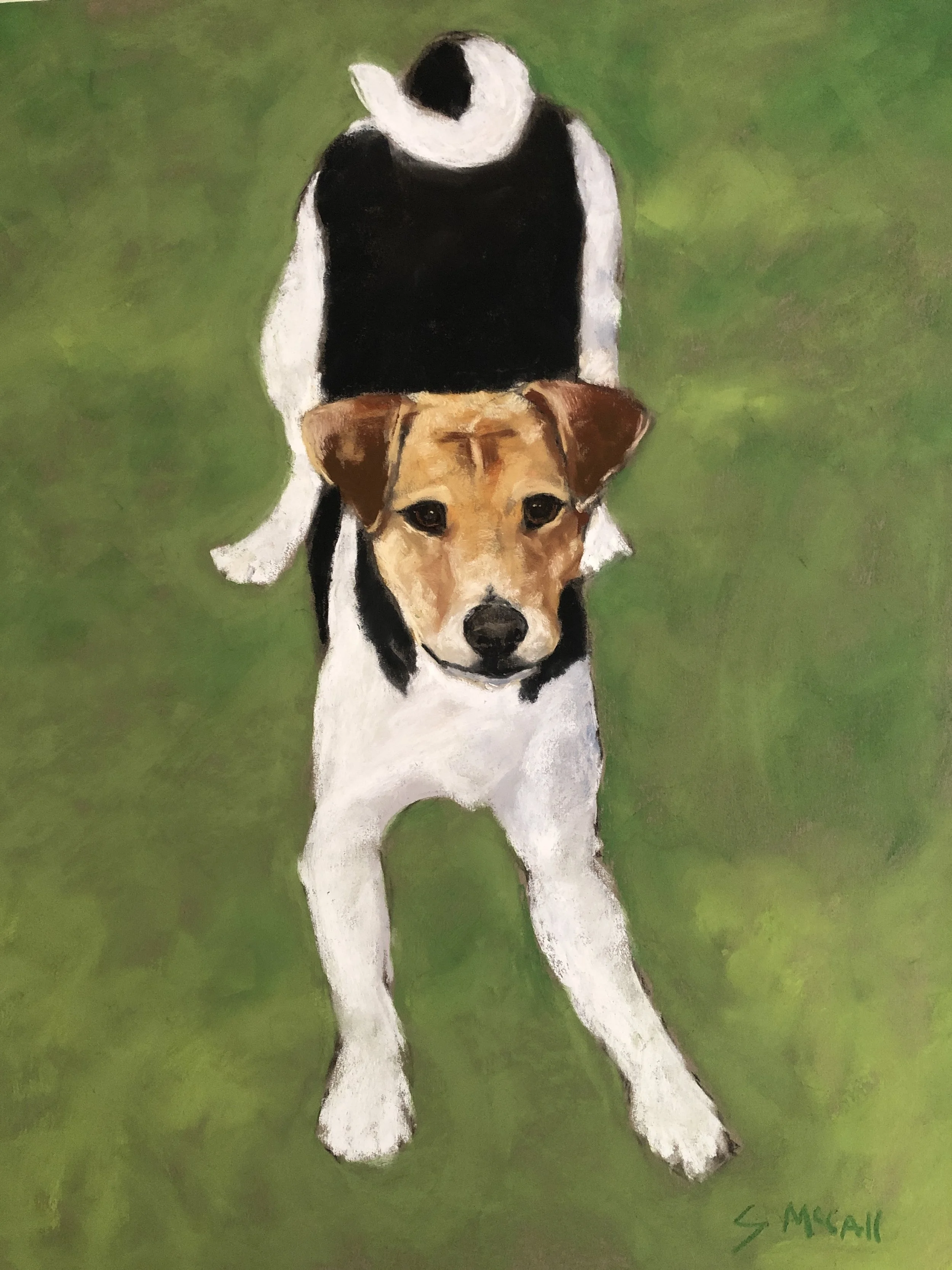   Lucy   16”x 20”  (Private collection) 