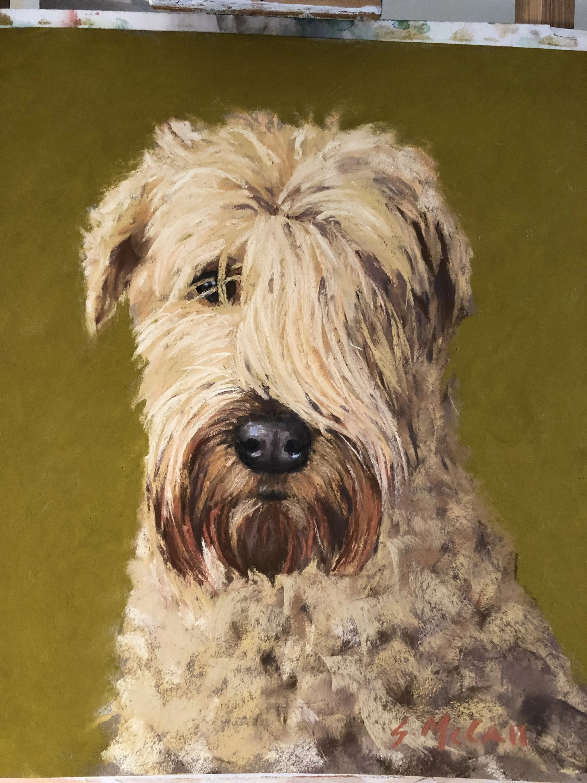 Dudley
