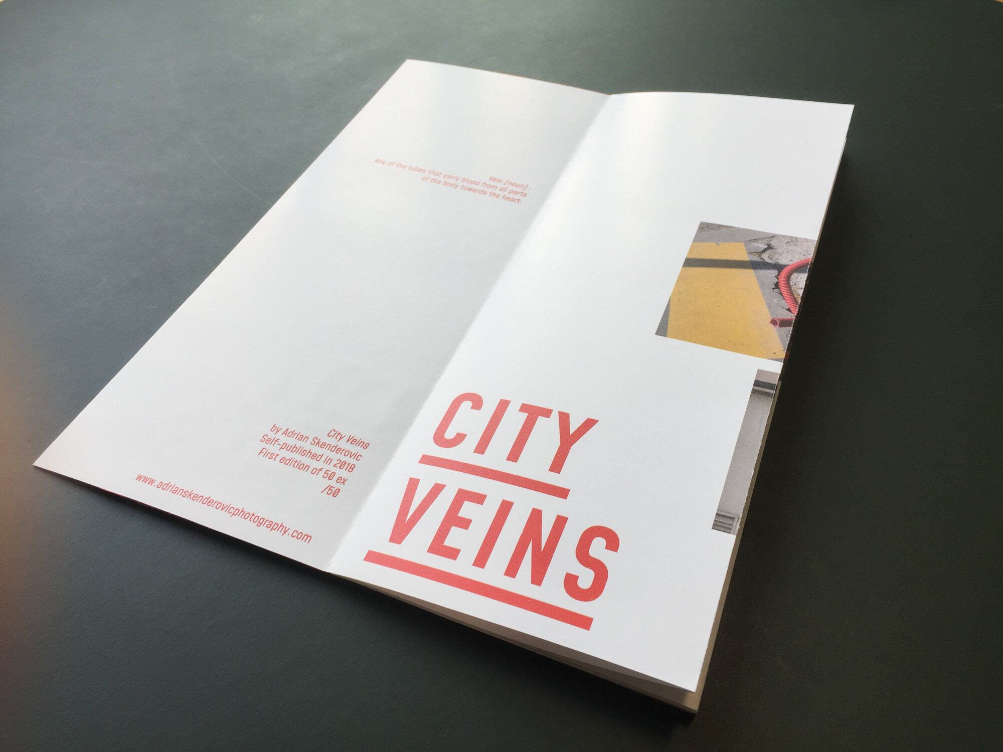 Adrian_skenderovic_city_veins_zine-2.jpg