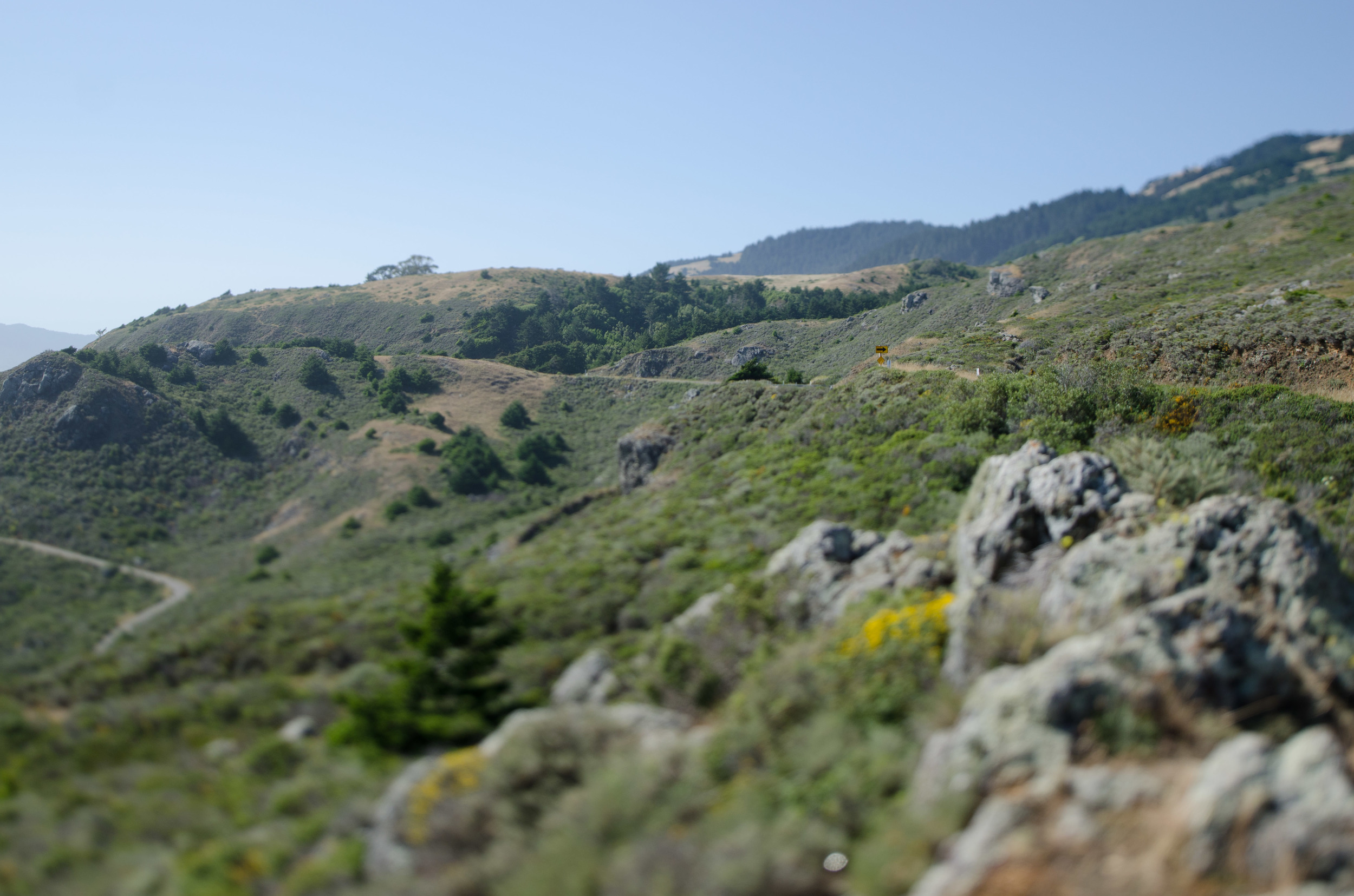 Cali_2014-62.jpg