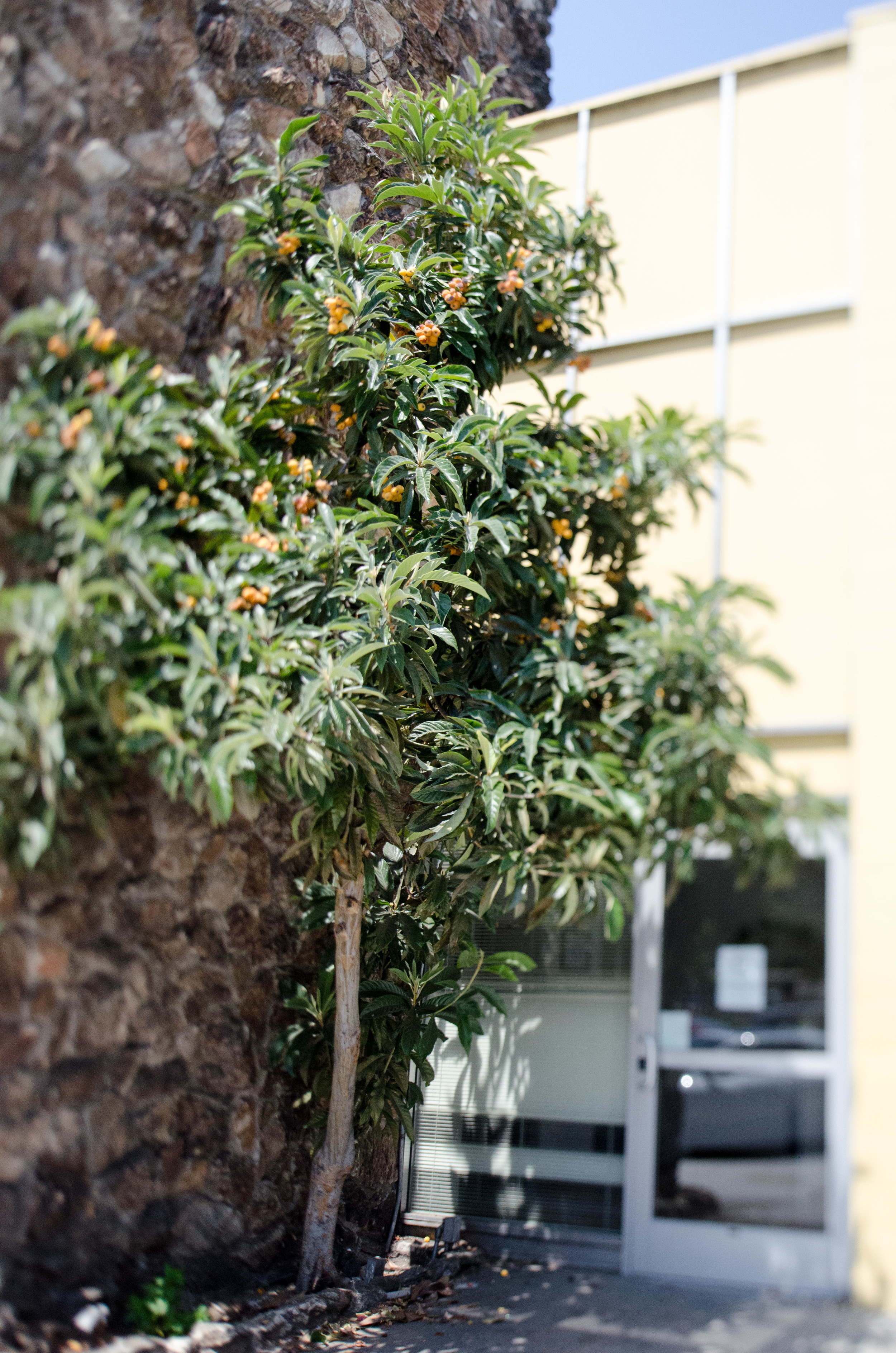 Cali_2014-104.jpg