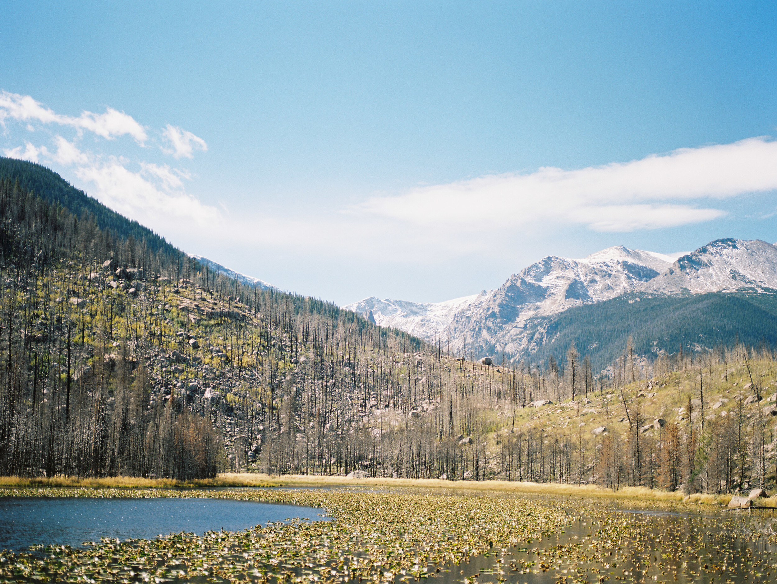 RMNP_Chihuly-5.jpg