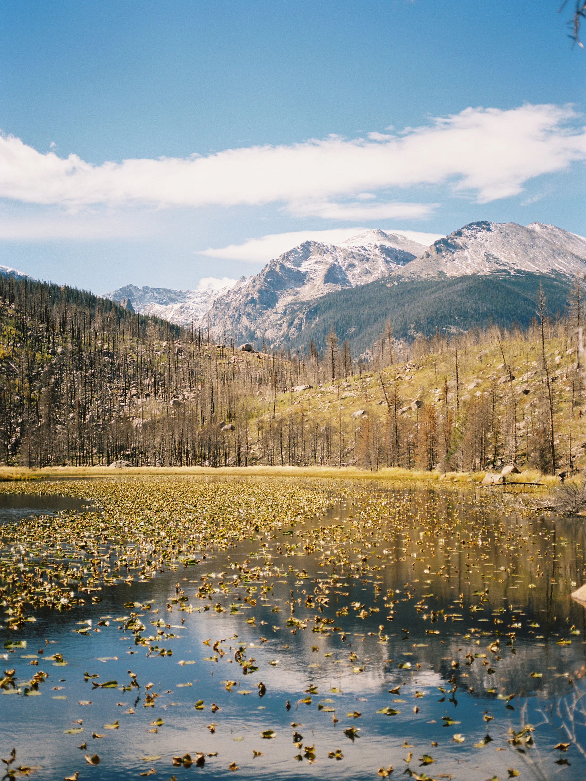 RMNP_Chihuly-6.jpg