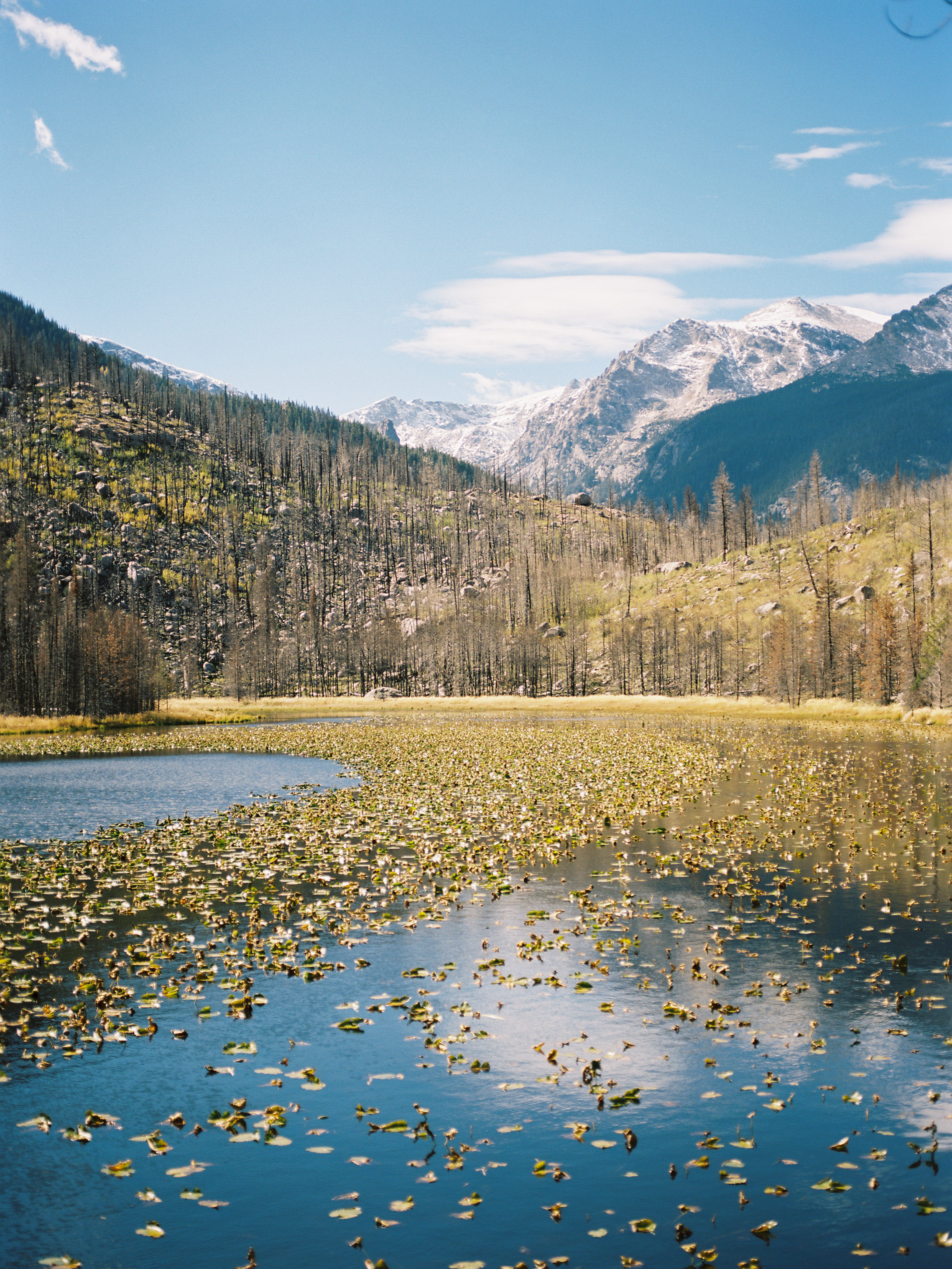 RMNP_Chihuly-8.jpg