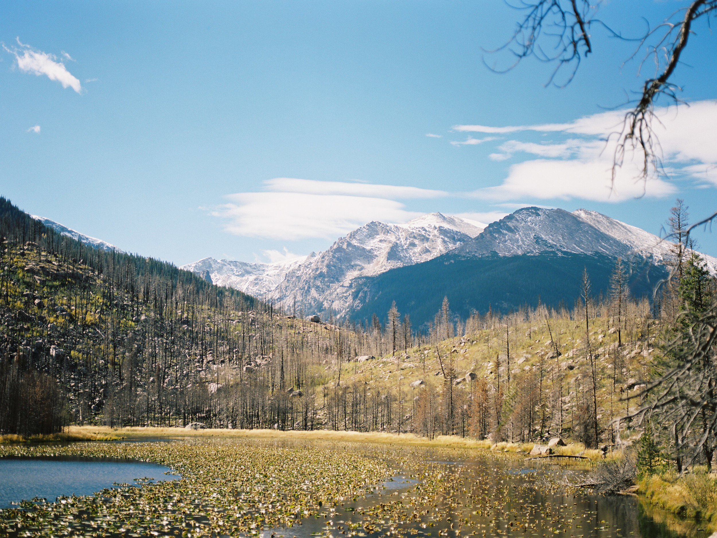 RMNP_Chihuly-7.jpg